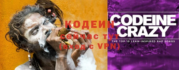 мдпв Верея