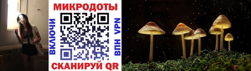 Галлюциногенные грибы мицелий  Купить  Курганинск 